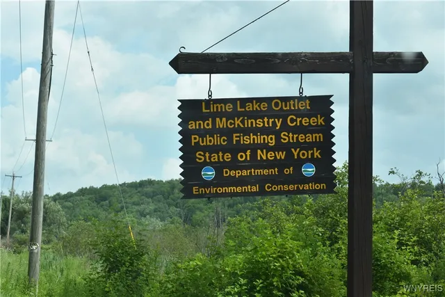 $35,900 | 10568 Highway 16, Yorkshire, NY 14042