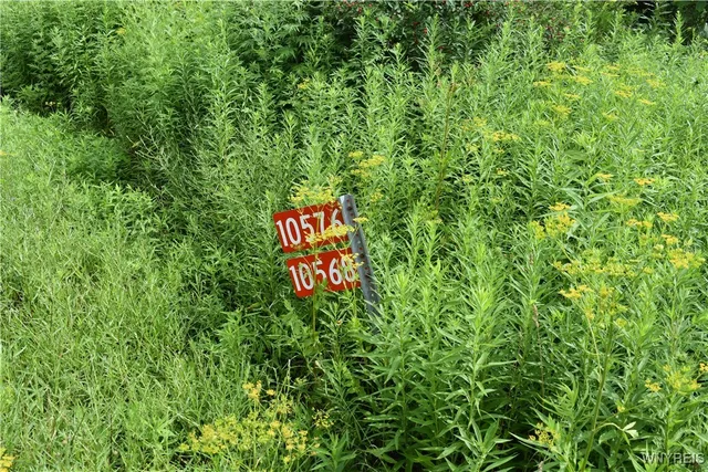 $35,900 | 10568 Highway 16, Yorkshire, NY 14042