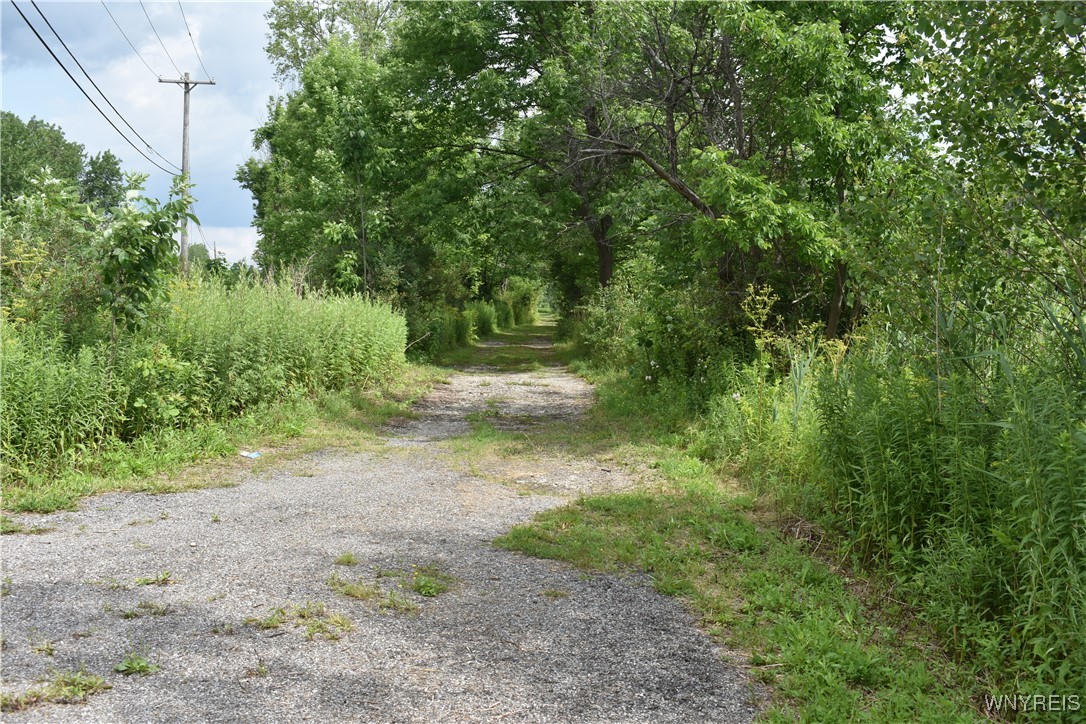 10568 Highway 16 Delevan, NY 14042 - Photo 5 of 19