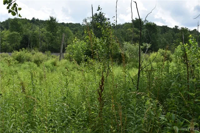 $35,900 | 10568 Highway 16, Yorkshire, NY 14042