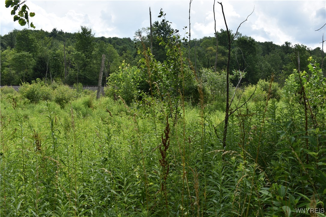 10568 Highway 16 Delevan, NY 14042 - Photo 6 of 19