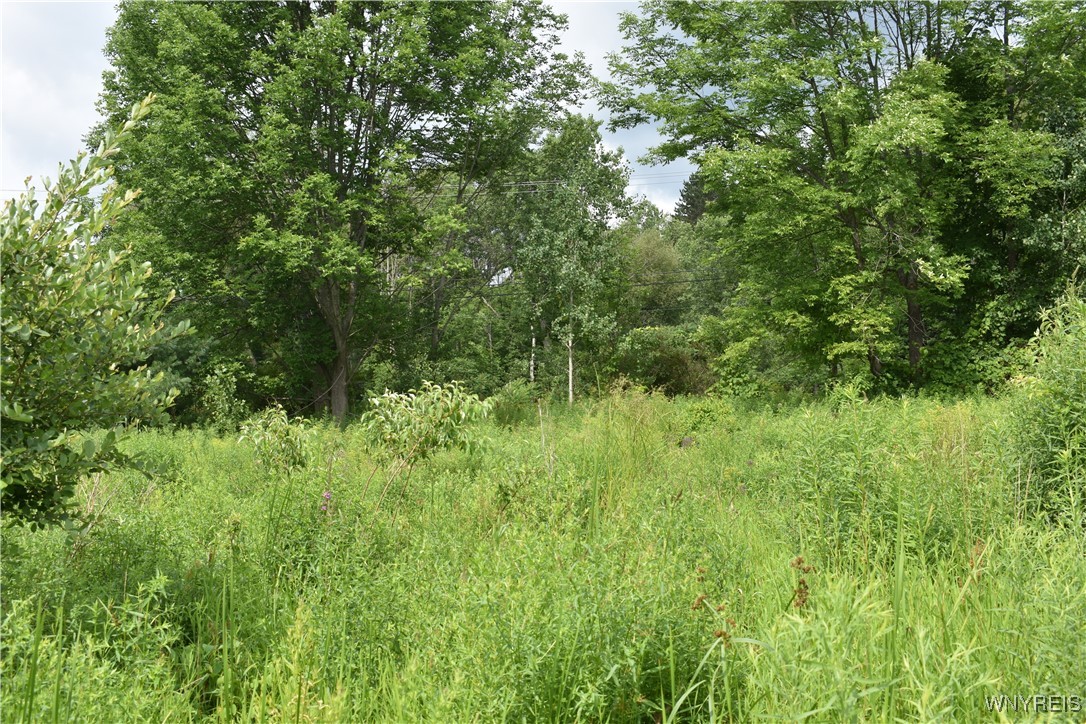 10568 Highway 16 Delevan, NY 14042 - Photo 7 of 19