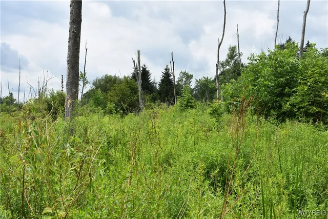 $35,900 | 10568 Highway 16, Yorkshire, NY 14042