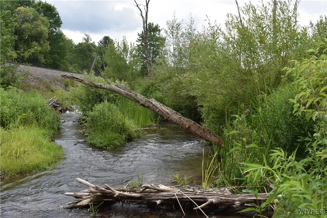 $35,900 | 10568 Highway 16, Yorkshire, NY 14042