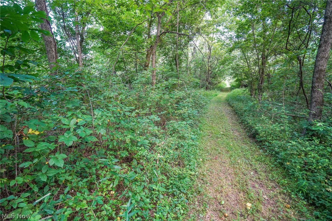 14975 Ruth Road Athens, OH 45701 - Photo 23 of 35