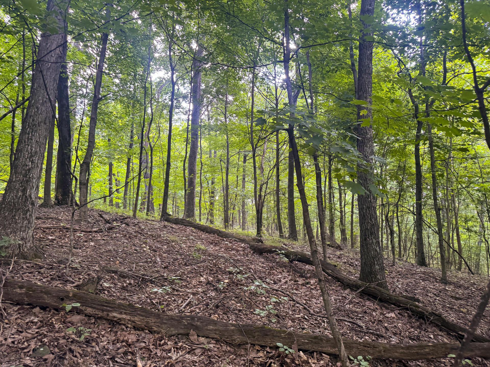 94 Golf Course Road, Unit TRACT 13 SKYLINEACRES) Waverly, OH 45690 - Photo 37 of 60 CT-36