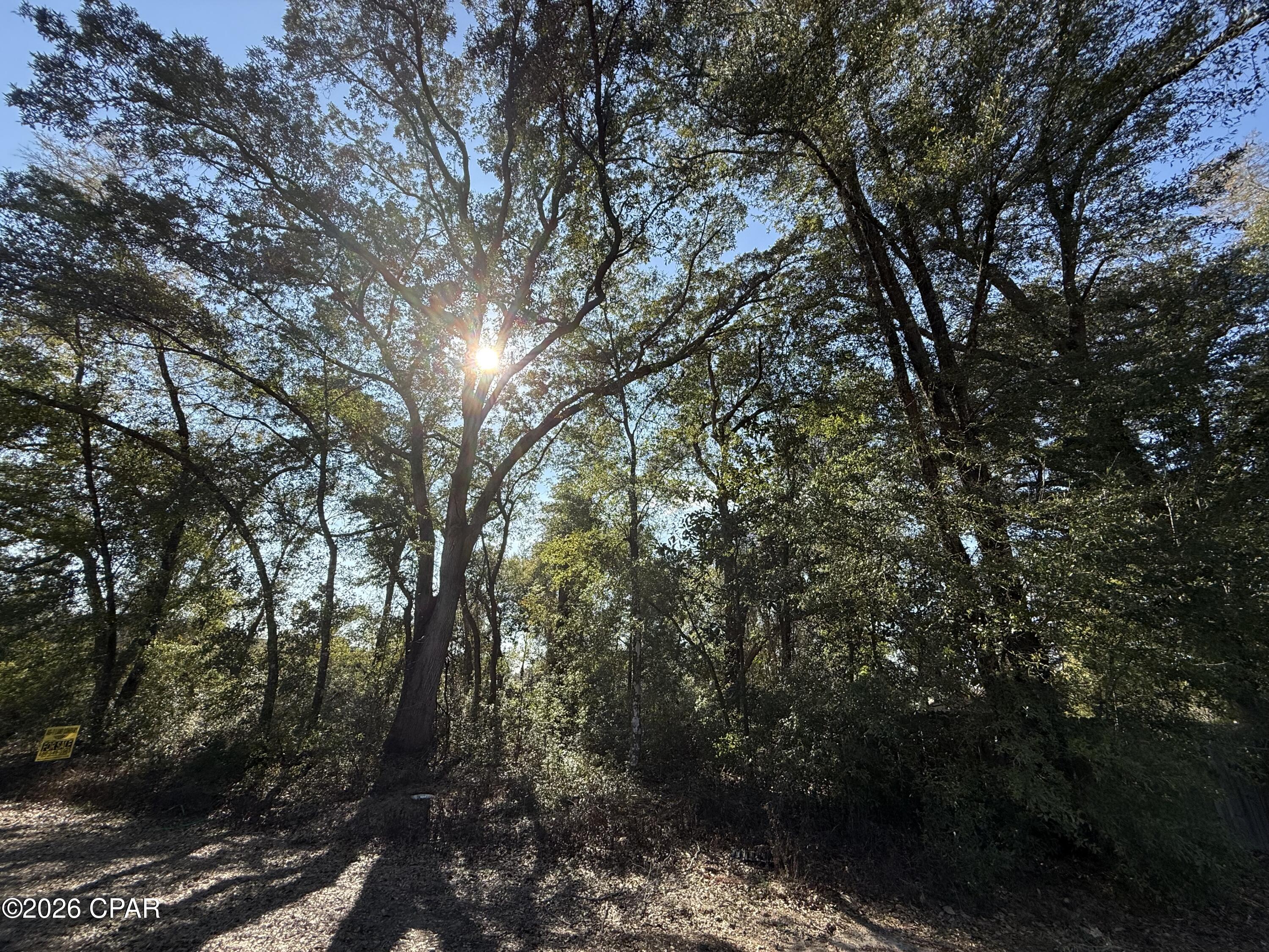 1 Appalachee Trail Marianna, FL 32446 - Photo 1 of 15