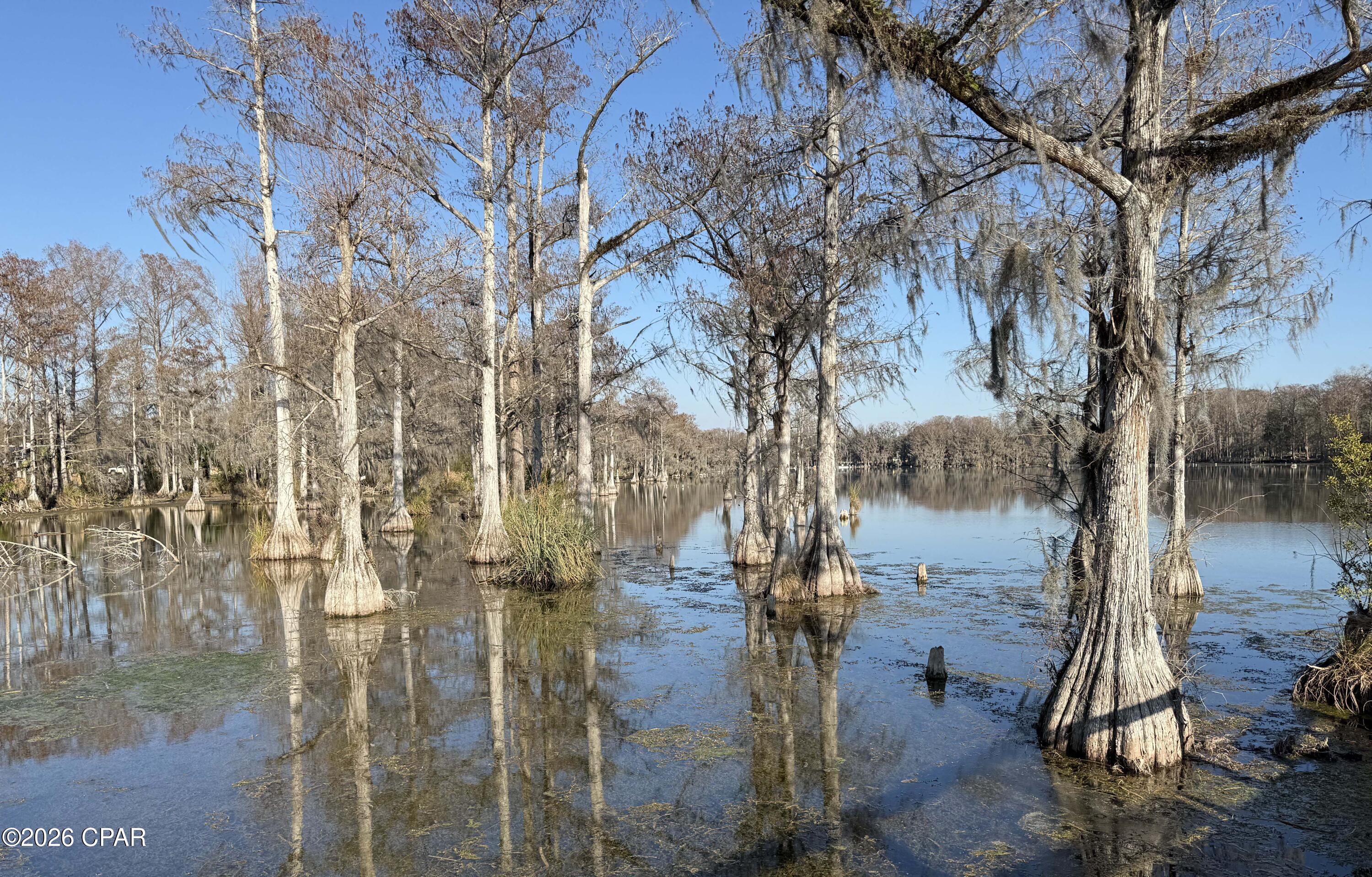 1 Appalachee Trail Marianna, FL 32446 - Photo 11 of 15