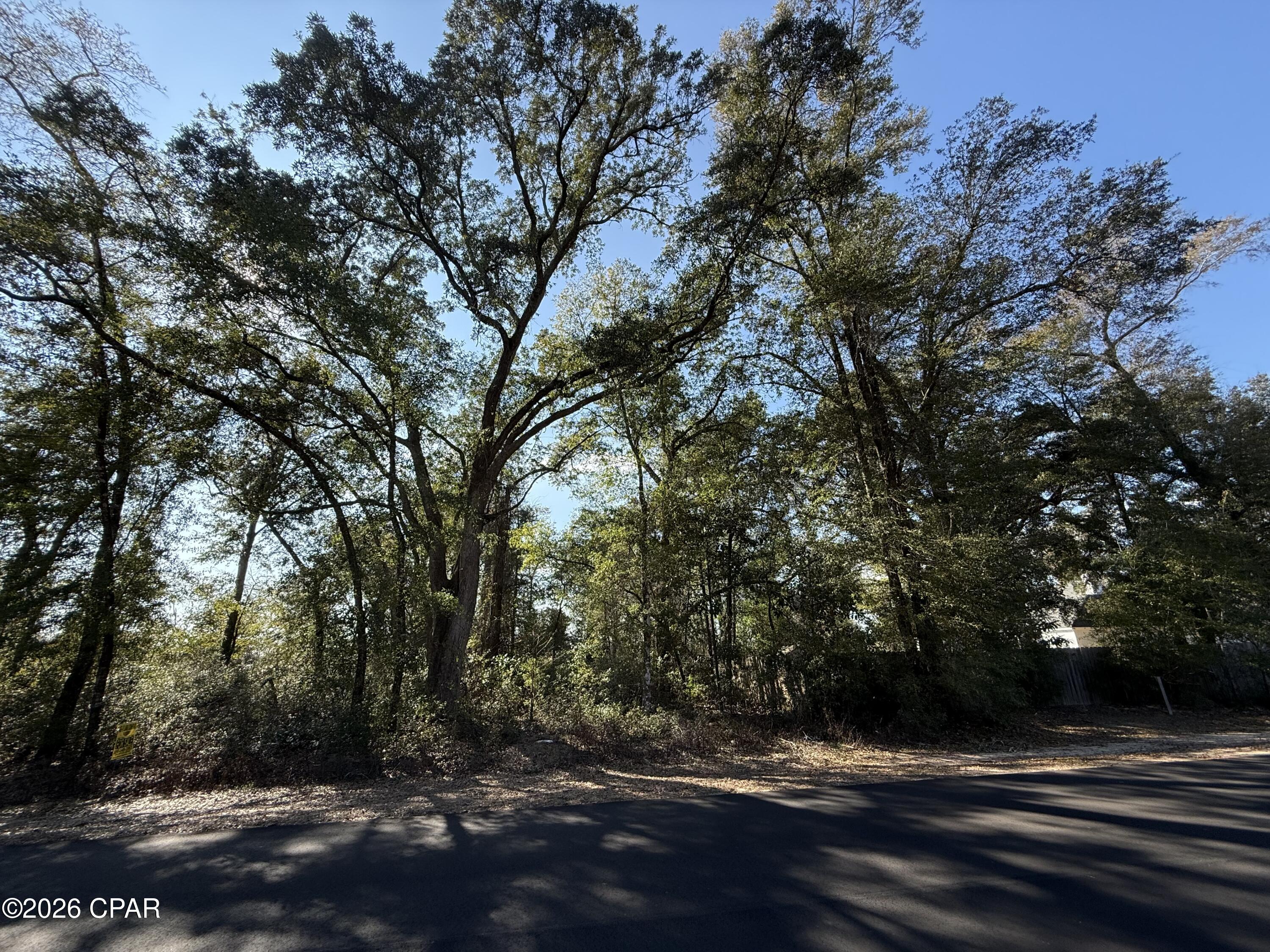 1 Appalachee Trail Marianna, FL 32446 - Photo 4 of 15