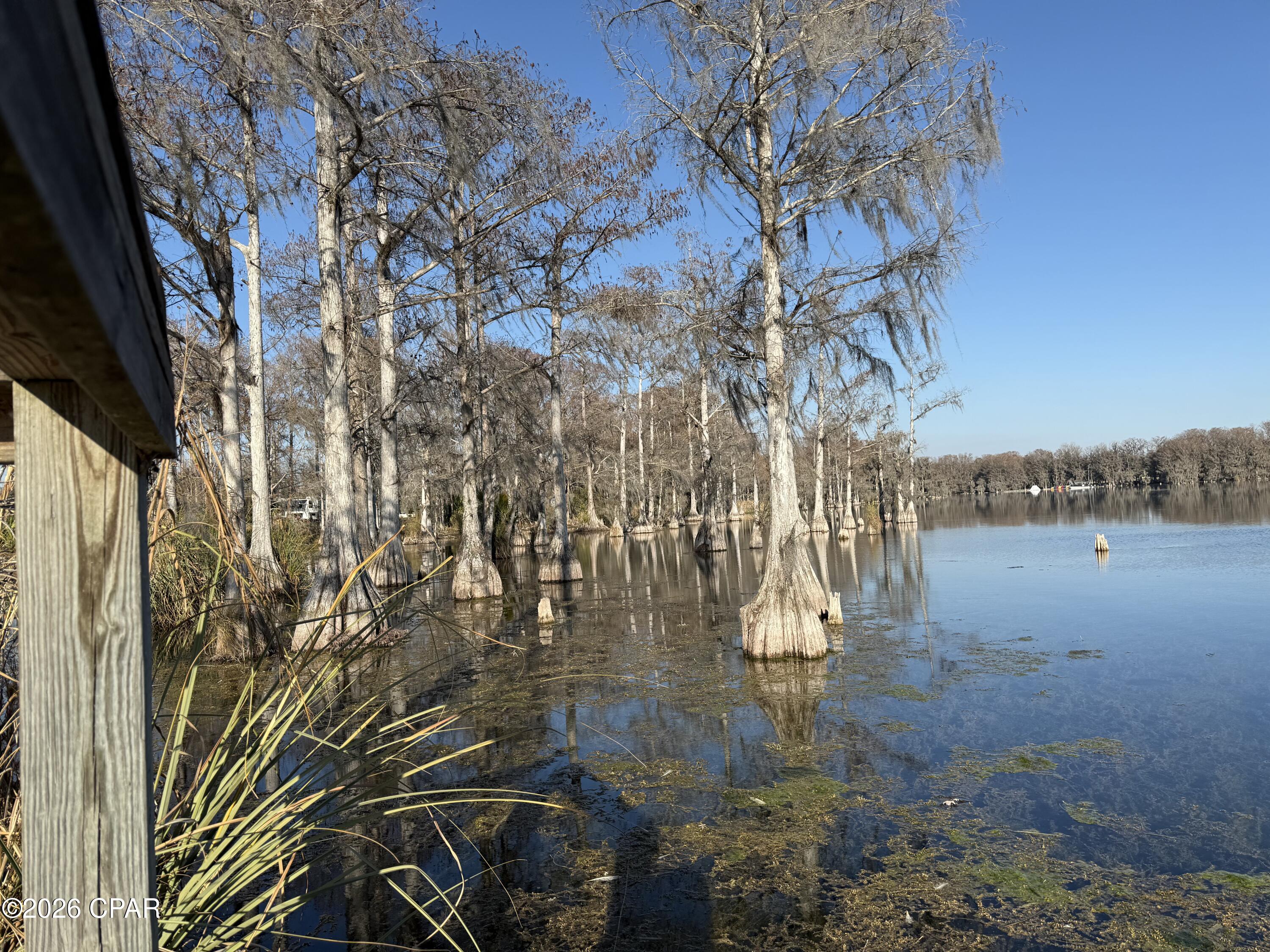 1 Appalachee Trail Marianna, FL 32446 - Photo 10 of 15