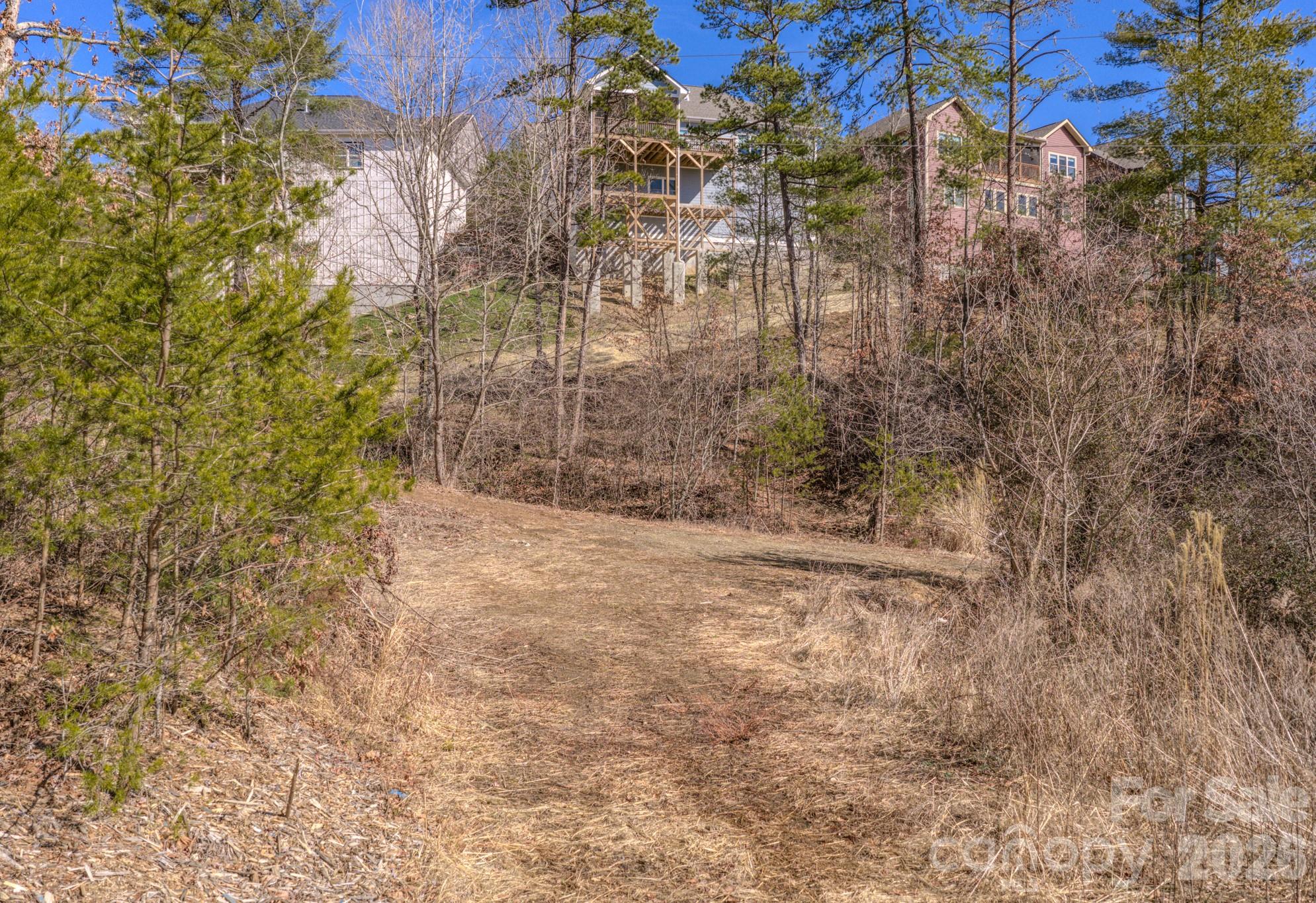 99999 Ralph Lunsford Road, Unit LOT 2 Weaverville, NC 28787 - Photo 13 of 13 a view of a pathway with a yard