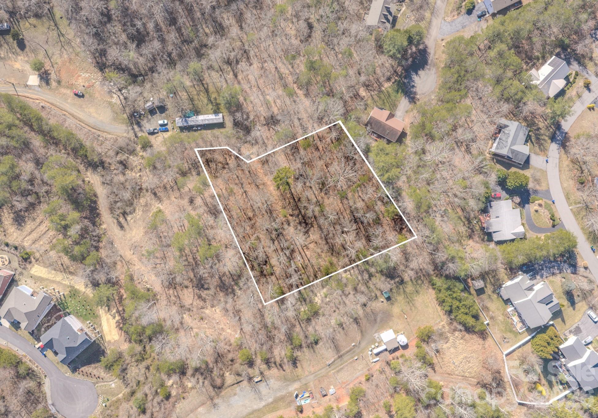 99999 Ralph Lunsford Road, Unit LOT 2 Weaverville, NC 28787 - Photo 2 of 13