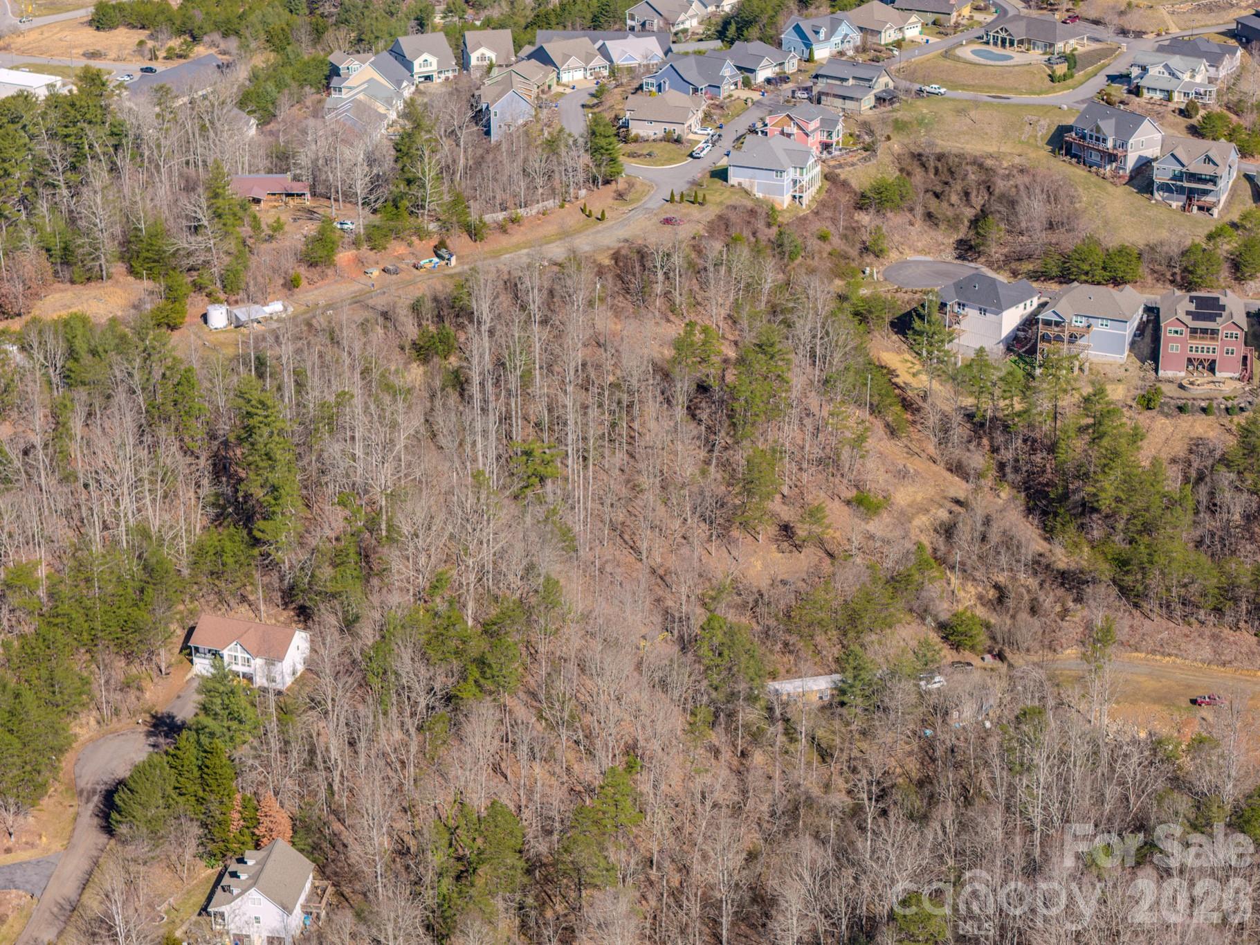 99999 Ralph Lunsford Road, Unit LOT 2 Weaverville, NC 28787 - Photo 6 of 13 a view of a city