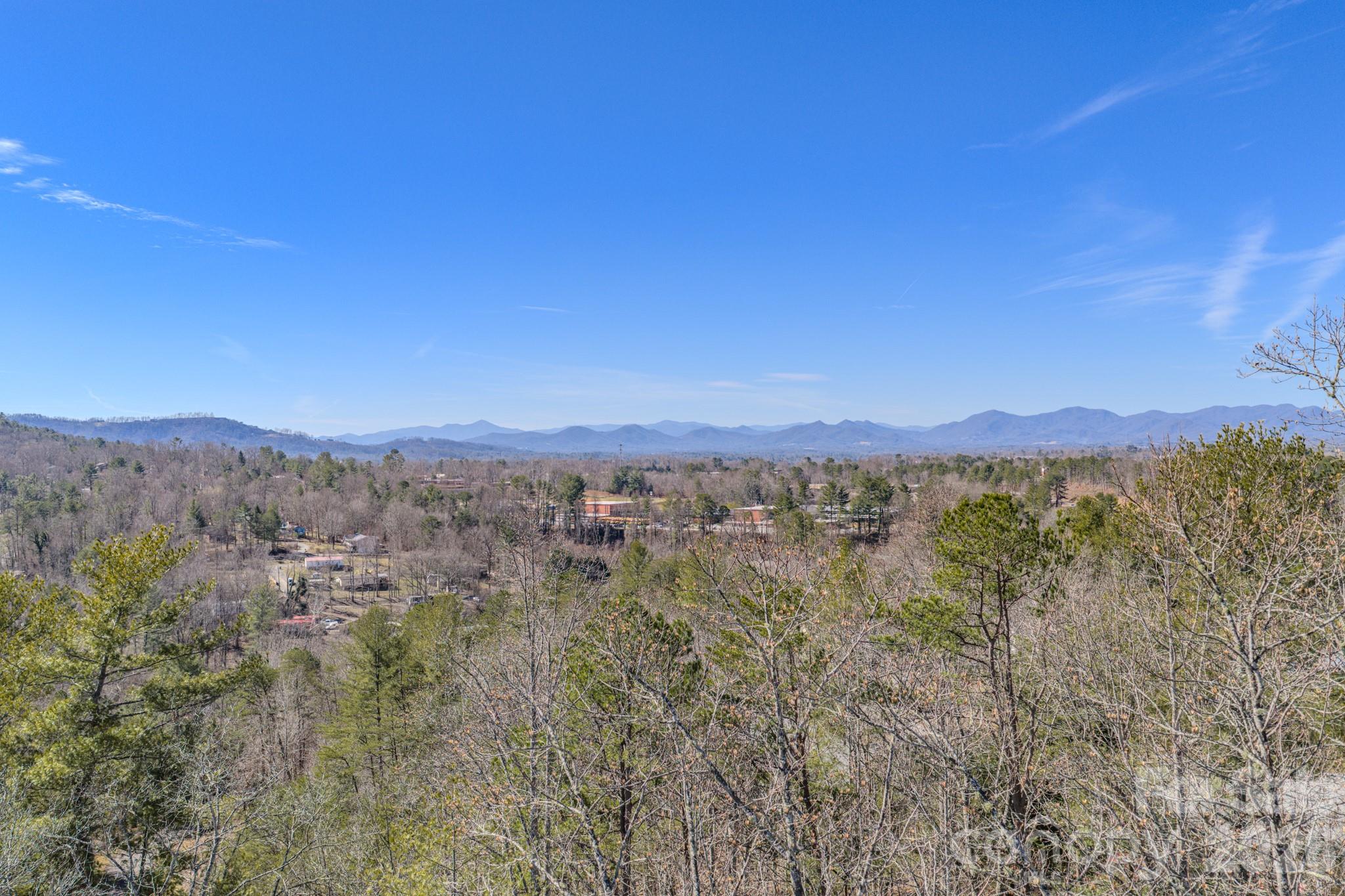 99999 Ralph Lunsford Road, Unit LOT 2 Weaverville, NC 28787 - Photo 9 of 13 a view of a city with lush green forest