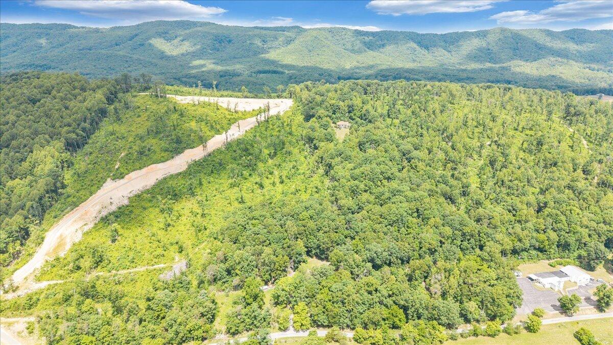 11010 Catawba Road Troutville, VA 24175 - Photo 61 of 68 61-DJI_20260615123457_0013_D
