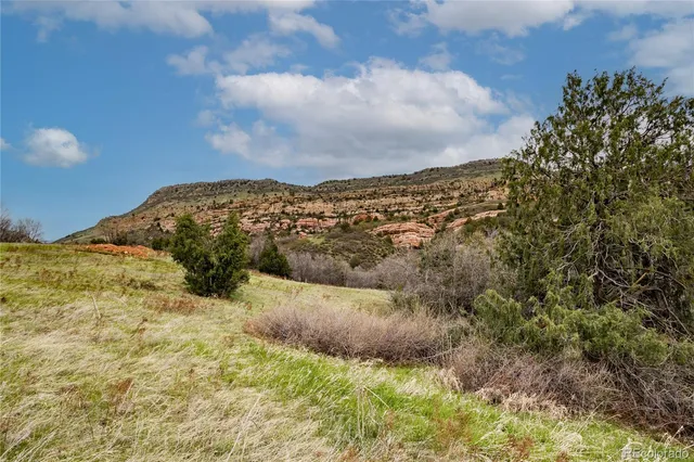 a view of a bunch of trees and bushes