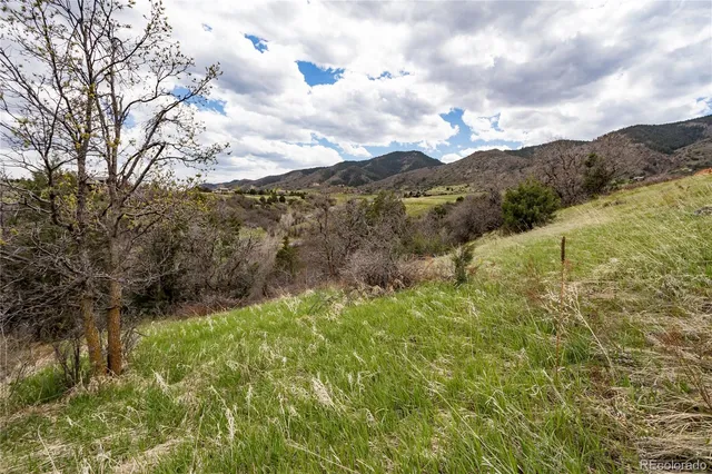 a view of a dry yard