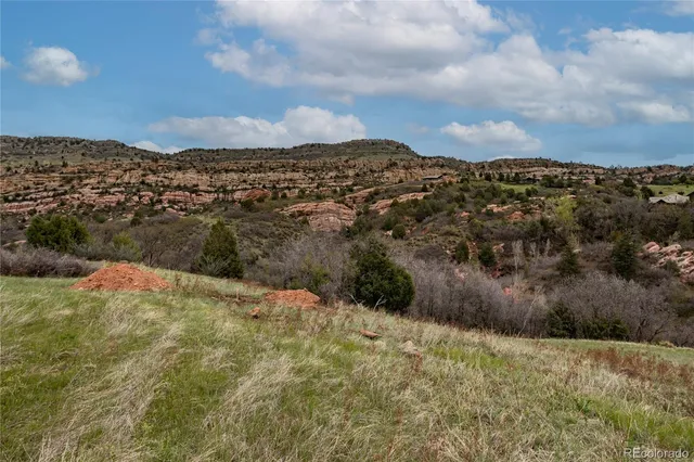 a view of a dry yard