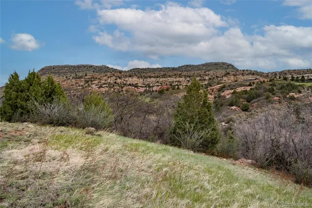 a view of a lush green forest with lush green forest