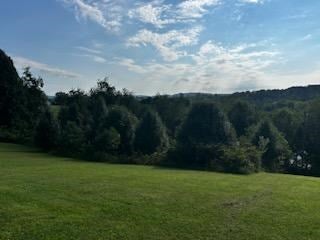 327 Alpine Crest Road Fancy Gap, VA 24328 - Photo 41 of 47 Gallery Image 41