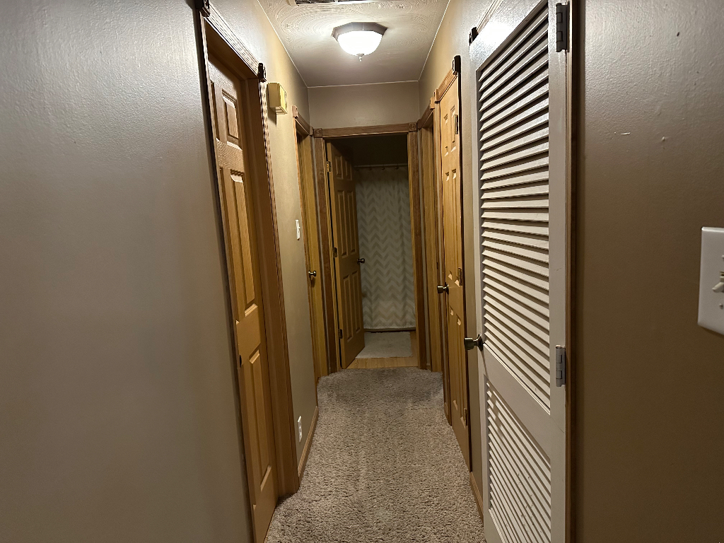204 Rayjon Drive Oreana, IL 62554 - Photo 6 of 25 a view of a hallway with a door