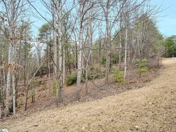 $50,000 | 107 Summer Sweet Trail, Sunset, SC 29685