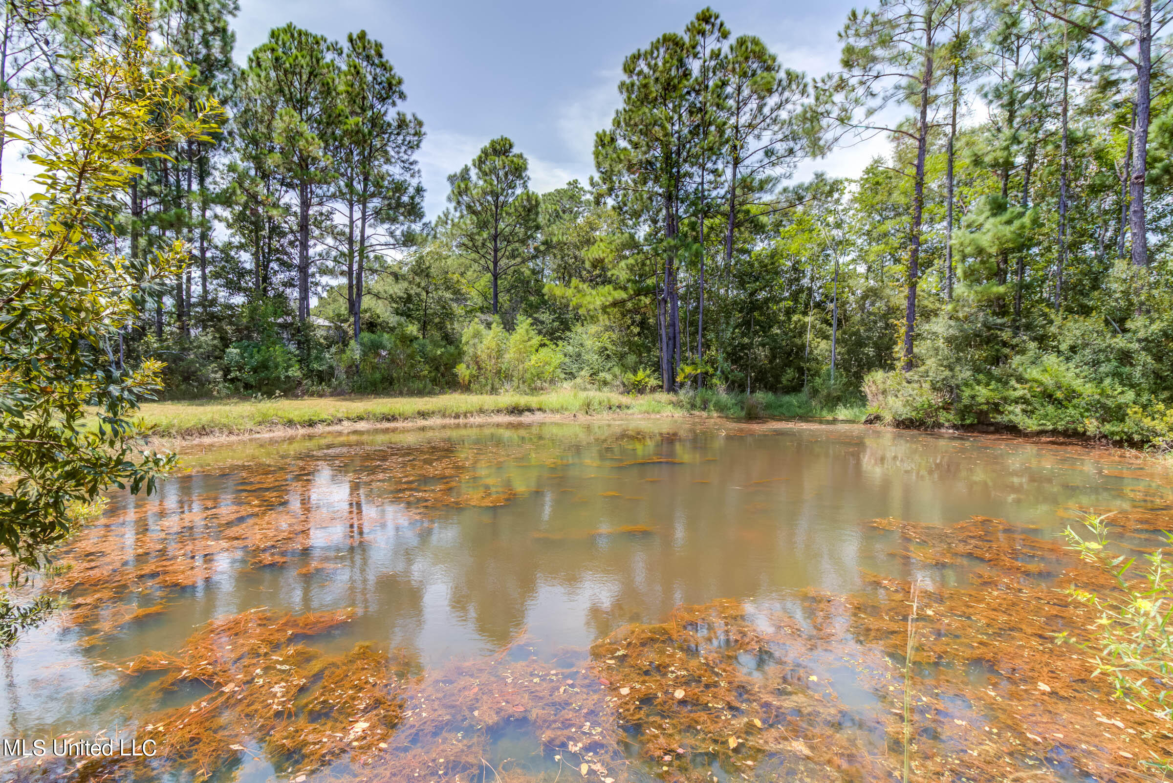 6333 Beatline Road Long Beach, MS 39560 - Photo 49 of 51 6333 Beatline Rd (63)