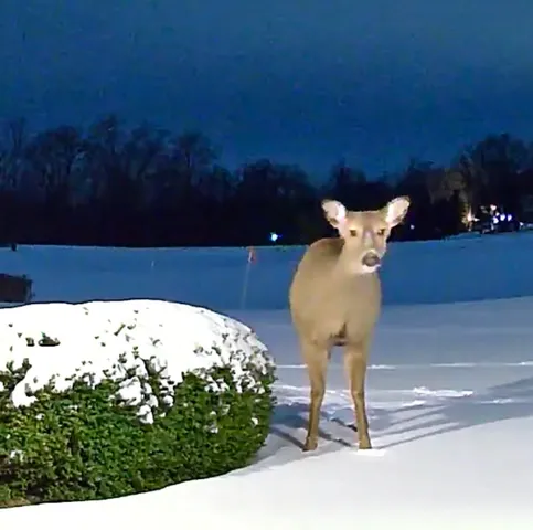 $3,150,000 | 2122 Grange Road, Buchanan, MI 49107