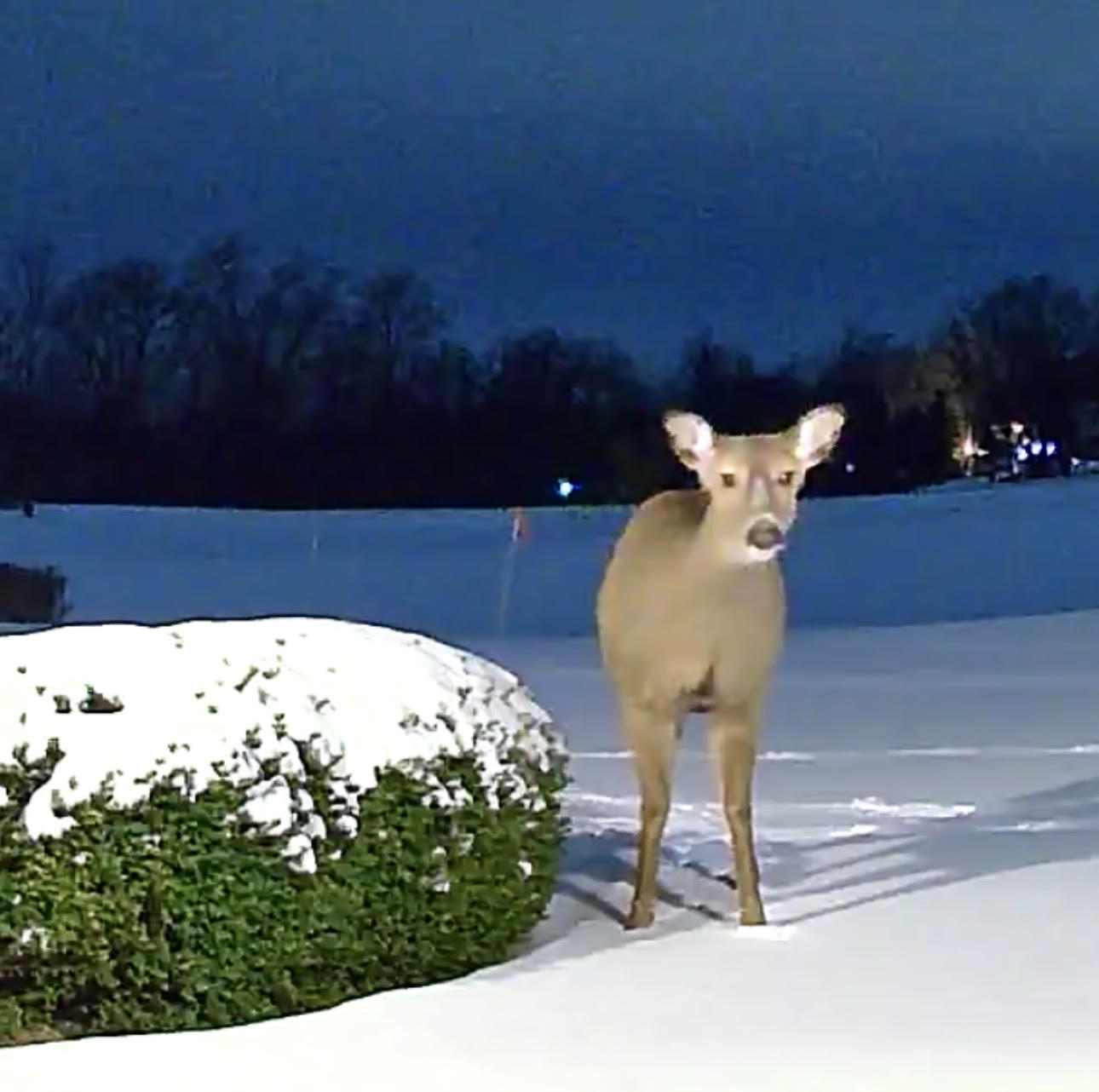 2122 Grange Road Buchanan, MI 49107 - Photo 2 of 99 2122 Grange Rd_Jeff Leonard_Oronoko Twp