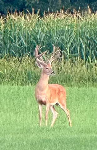 $3,150,000 | 2122 Grange Road, Buchanan, MI 49107