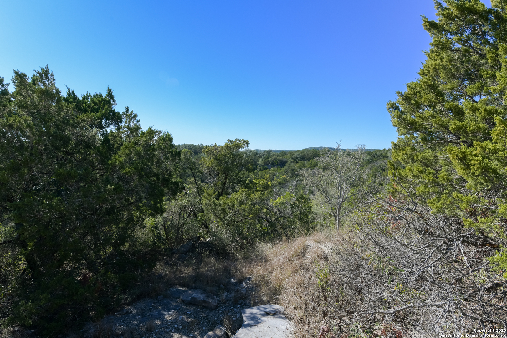 11304 Condor Pass Helotes, TX 78023 - Photo 5 of 6