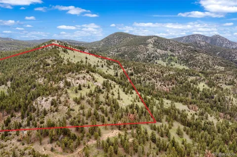 a view of a city with lush green forest