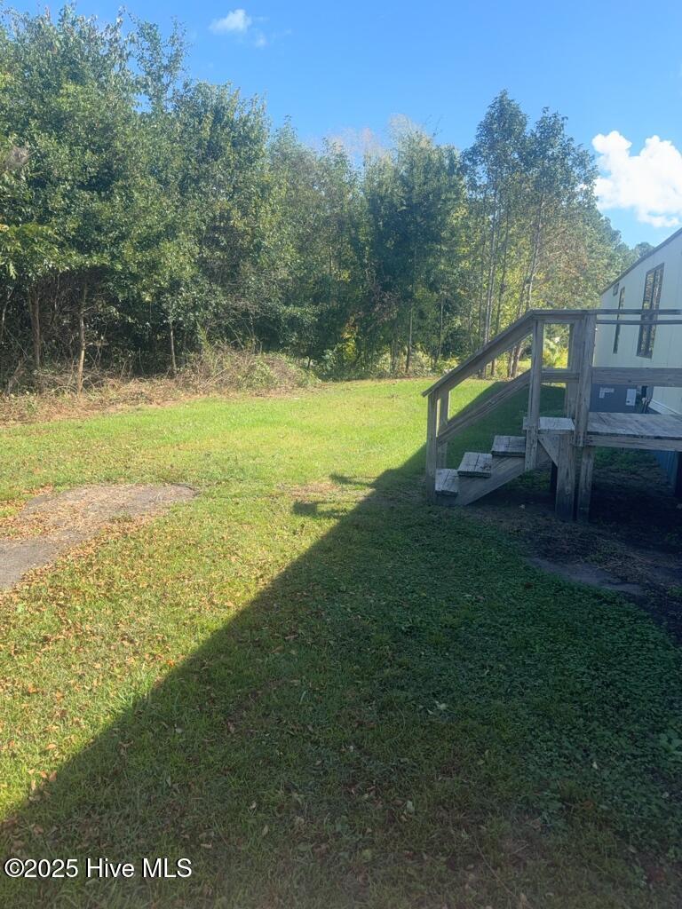 175 Oliver Cooper Road Richlands, NC 28574 - Photo 14 of 14 Backyard