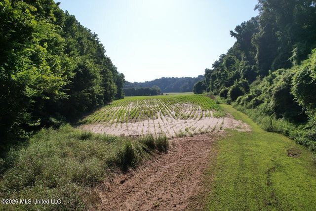 $550,000 | Annas Bottom Road, Natchez, MS 39120