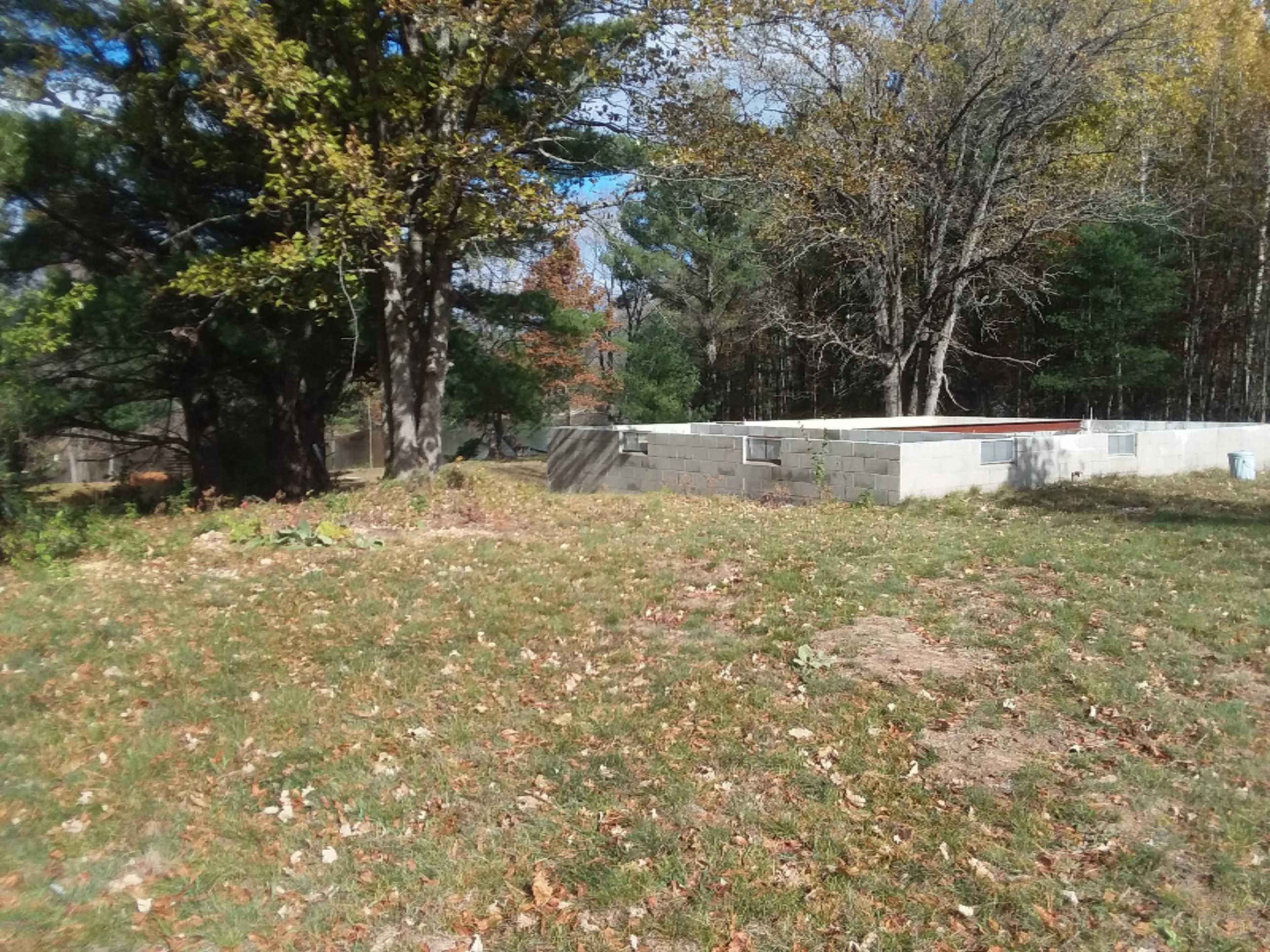 10102 River Road Evart, MI 49631 - Photo 23 of 29 20181024_124754