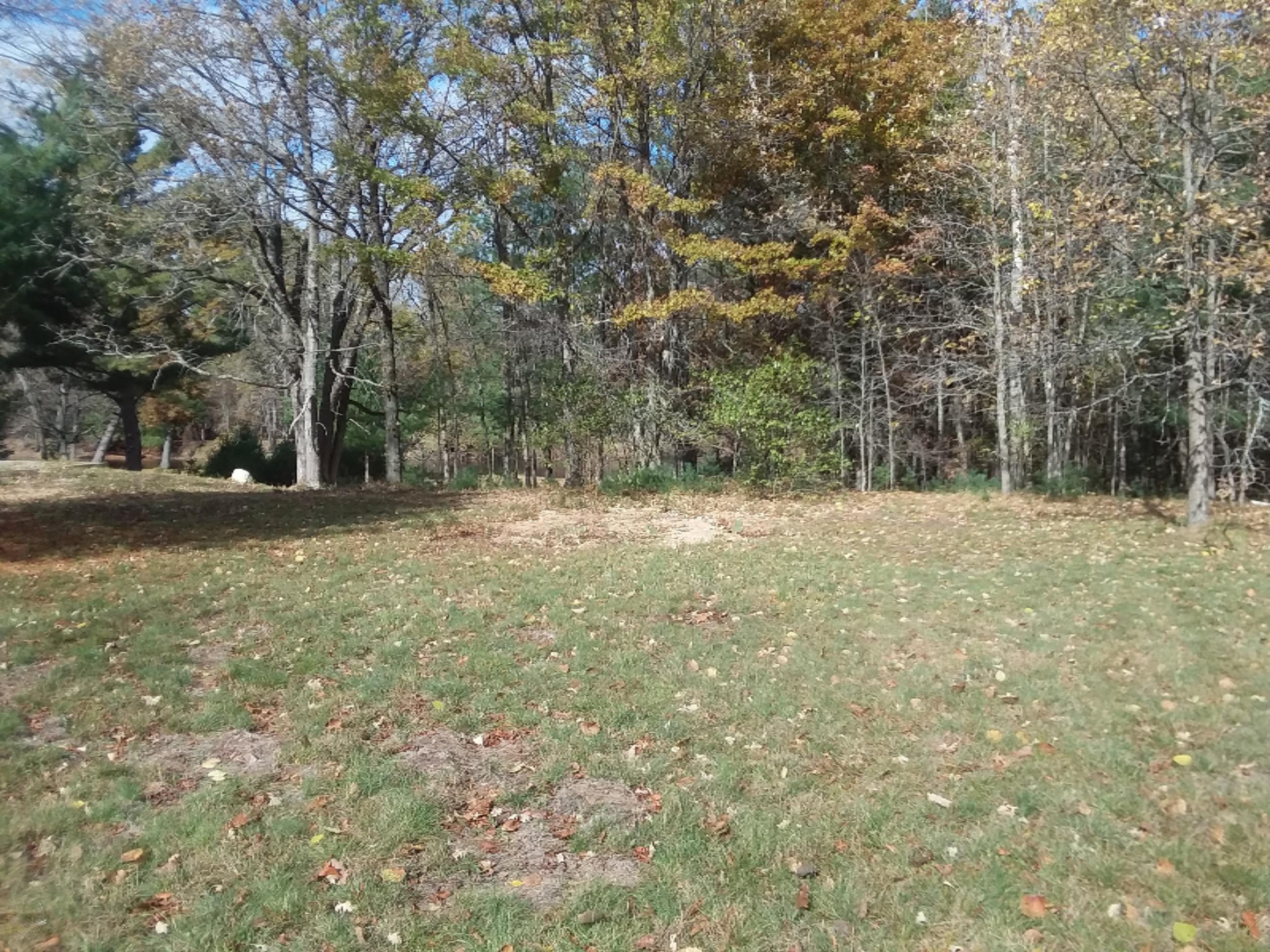 10102 River Road Evart, MI 49631 - Photo 25 of 29 20181024_124850