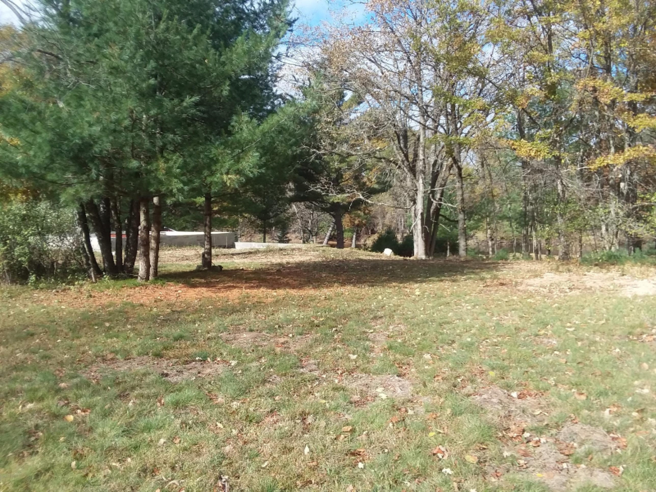 10102 River Road Evart, MI 49631 - Photo 26 of 29 20181024_124851