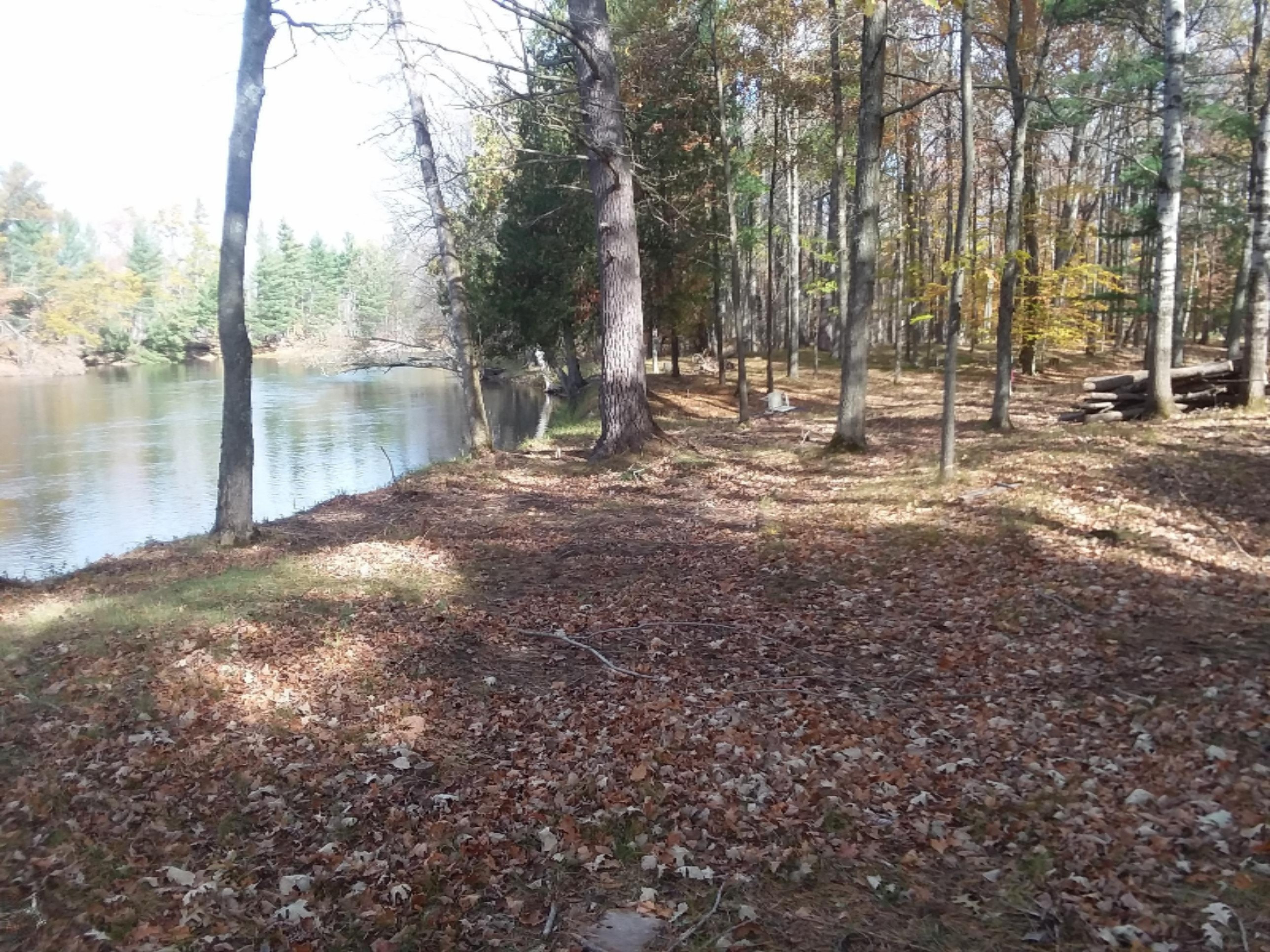 10102 River Road Evart, MI 49631 - Photo 4 of 29 20181024_124441