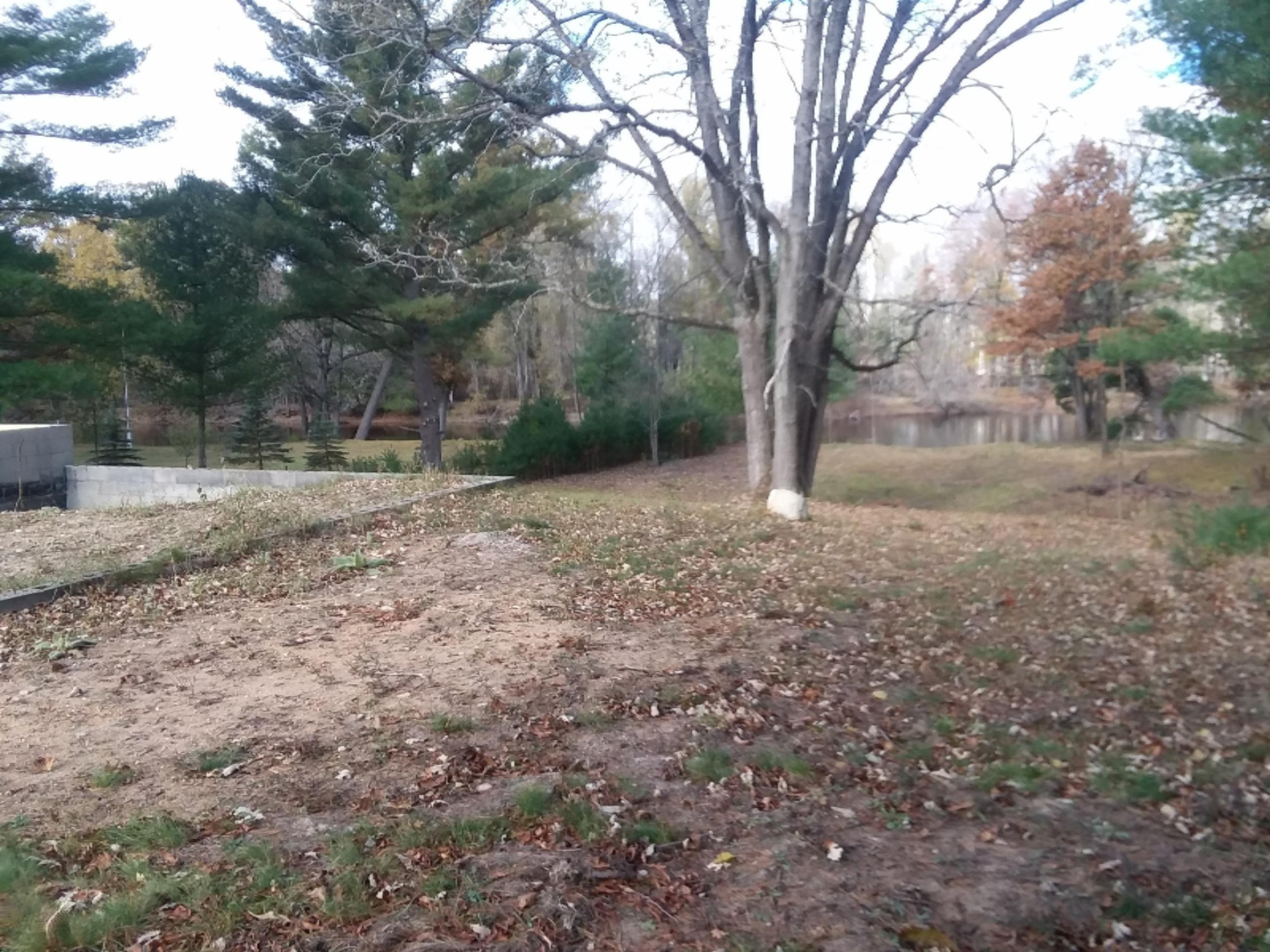 10102 River Road Evart, MI 49631 - Photo 10 of 29 20181024_124256