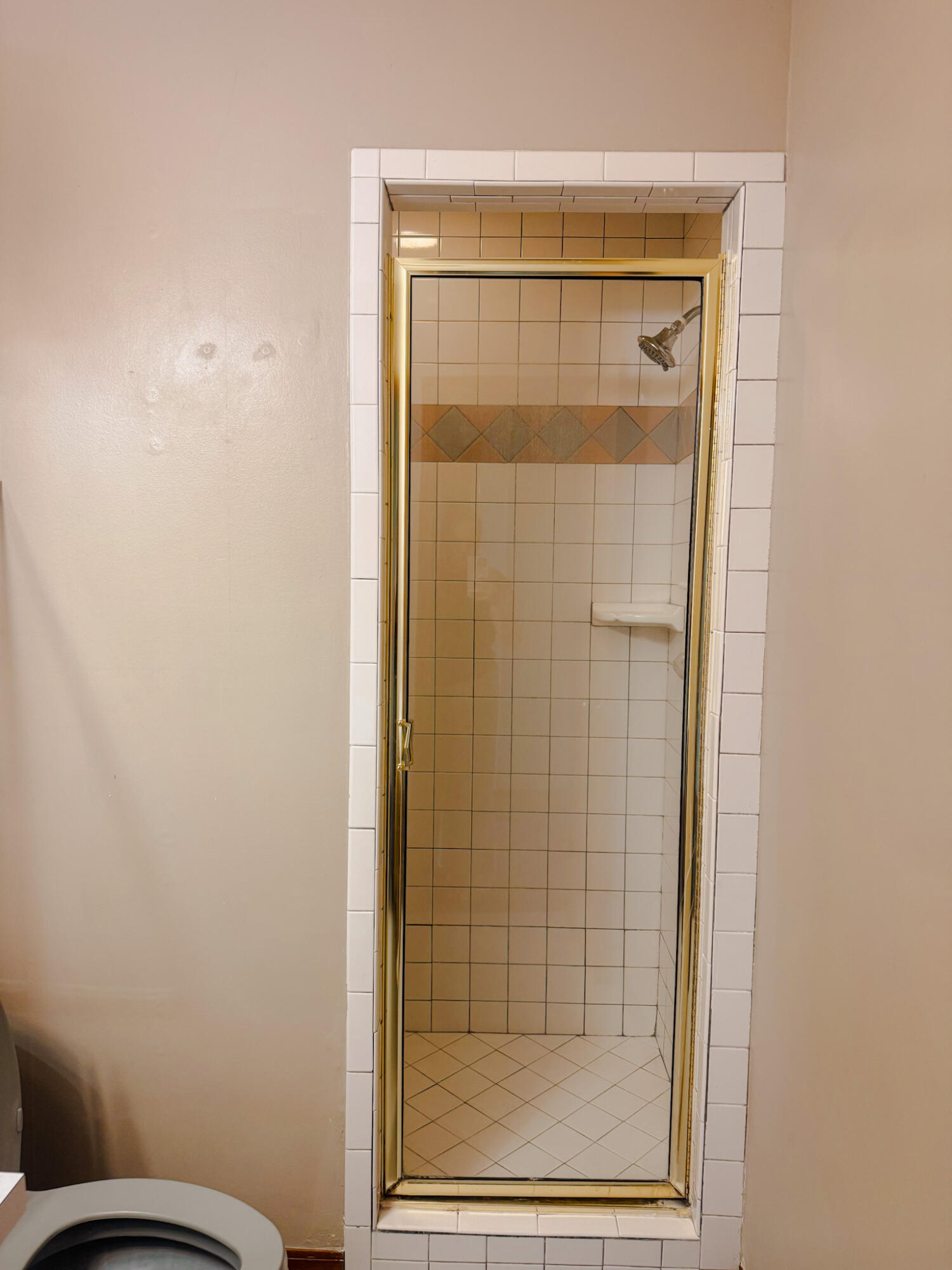 102 Springwood Circle Crestview, FL 32536 - Photo 15 of 21 Master Bath walk in shower