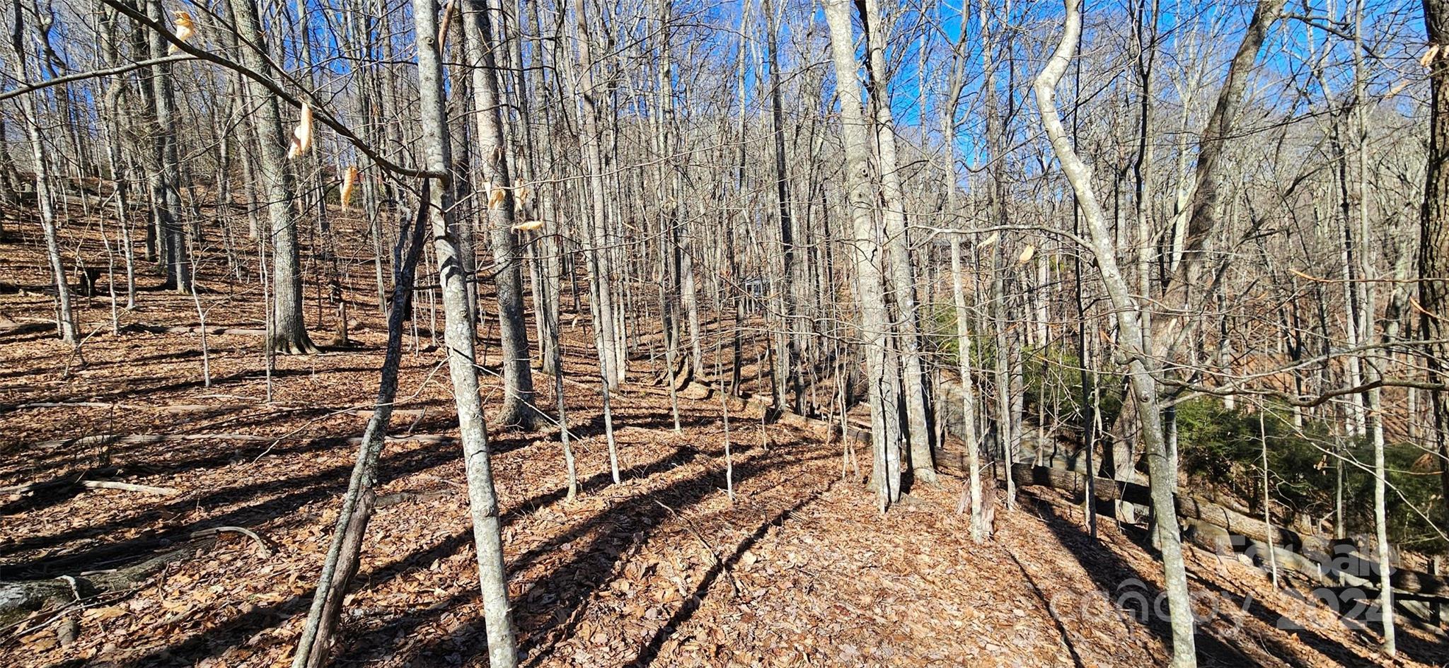 0 Foxden Road, Unit 110 Mars Hill, NC 28754 - Photo 2 of 5