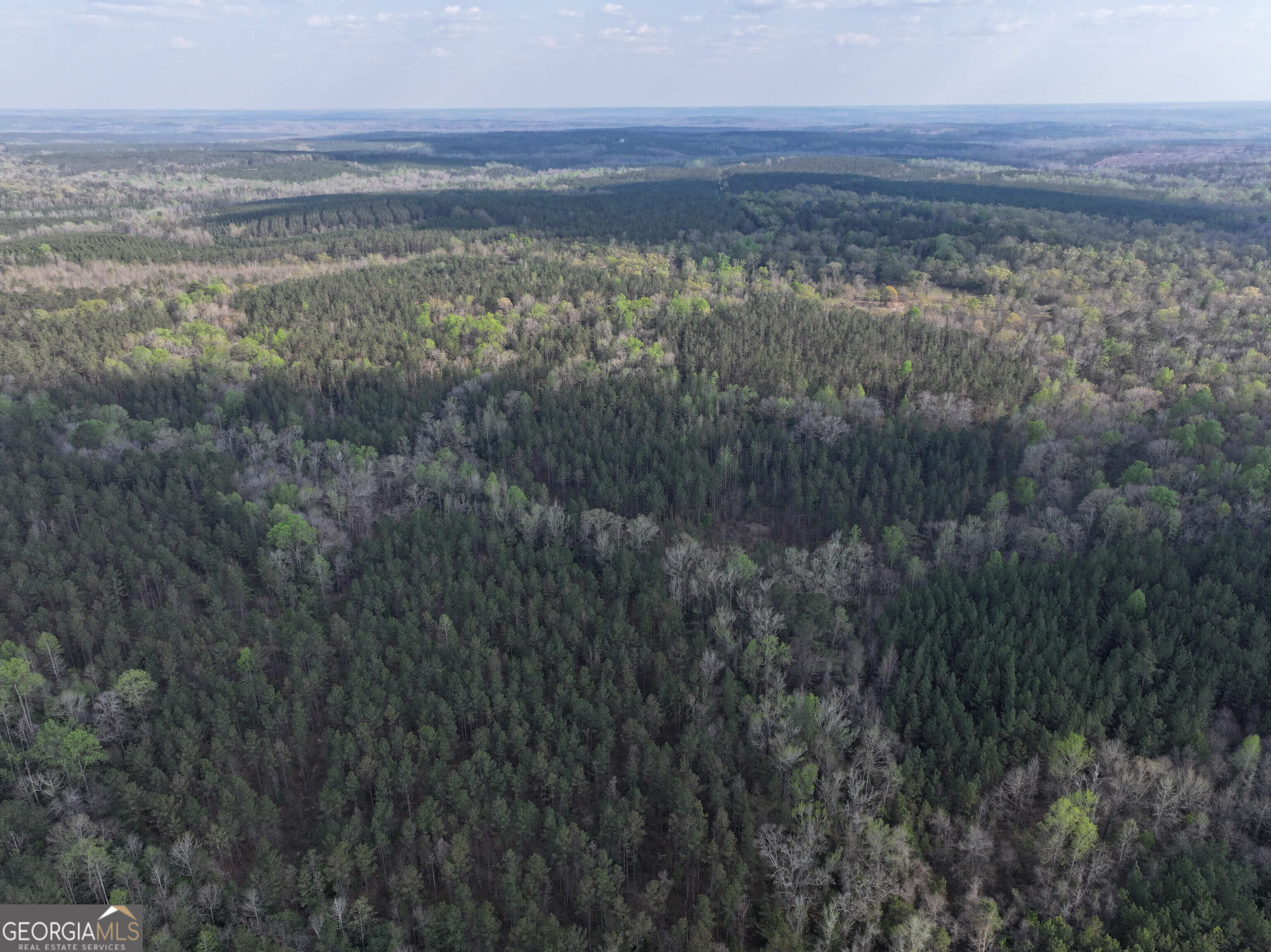 195 County Line Road Morris, GA 39867 - Photo 59 of 69 Gallery Image 59