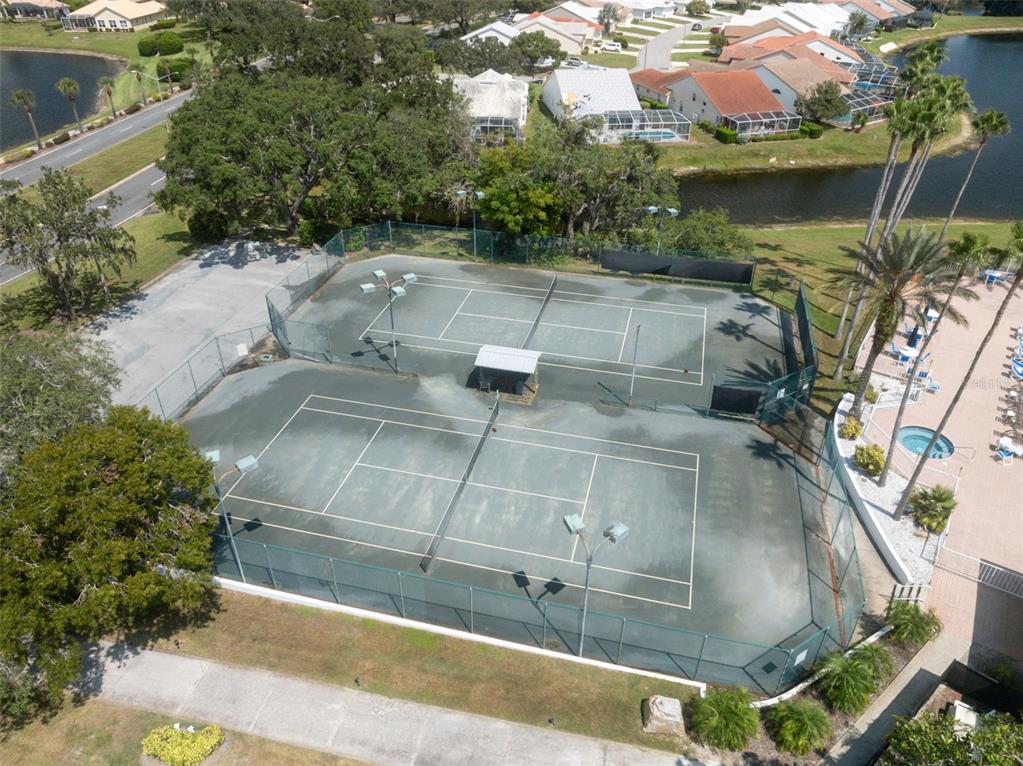 10149 Duffy Circle Weeki Wachee, FL 34613 - Photo 53 of 59 a view of swimming pool with a yard