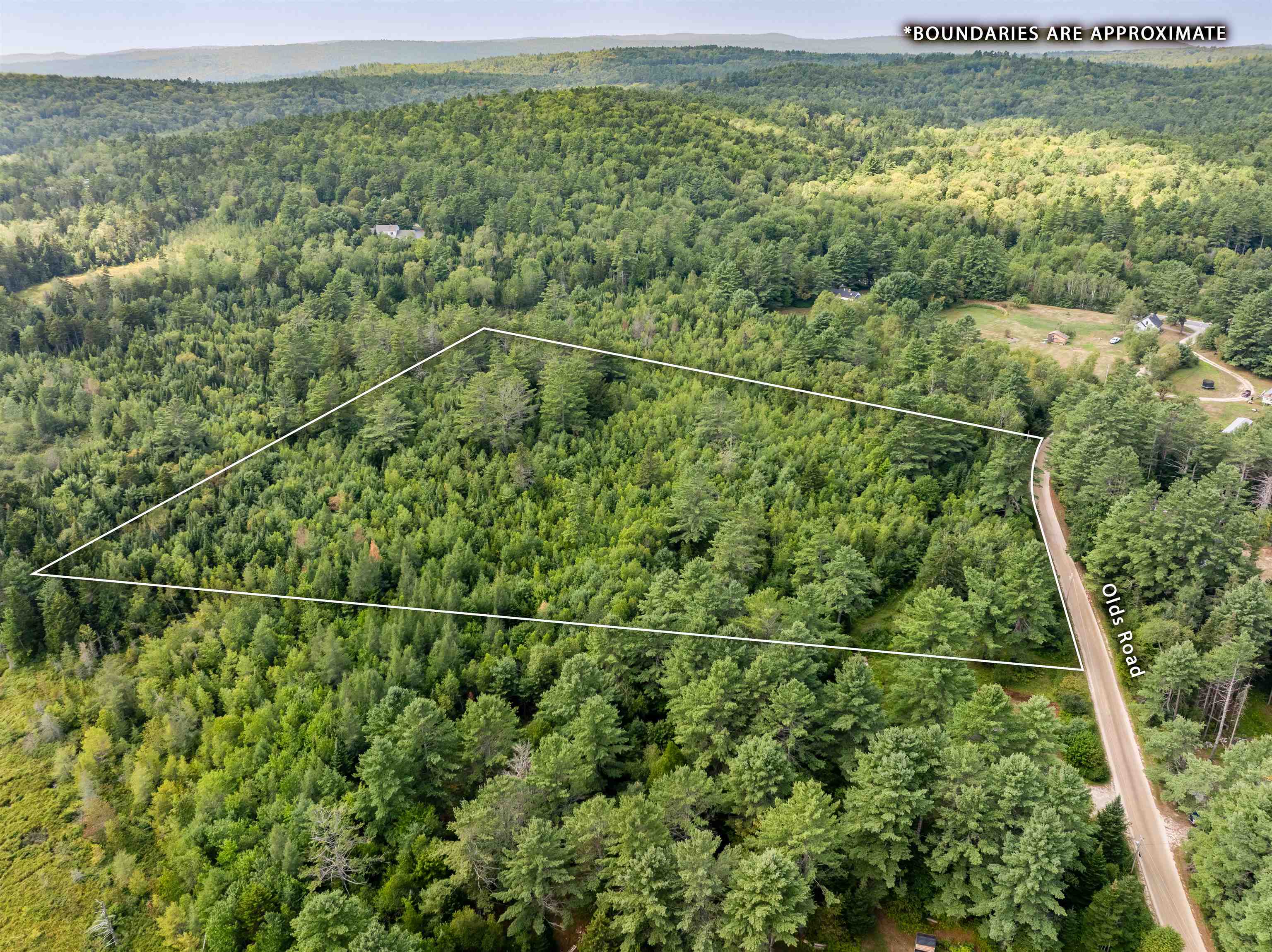 Olds Road Lempster, NH 03605 - Photo 6 of 6