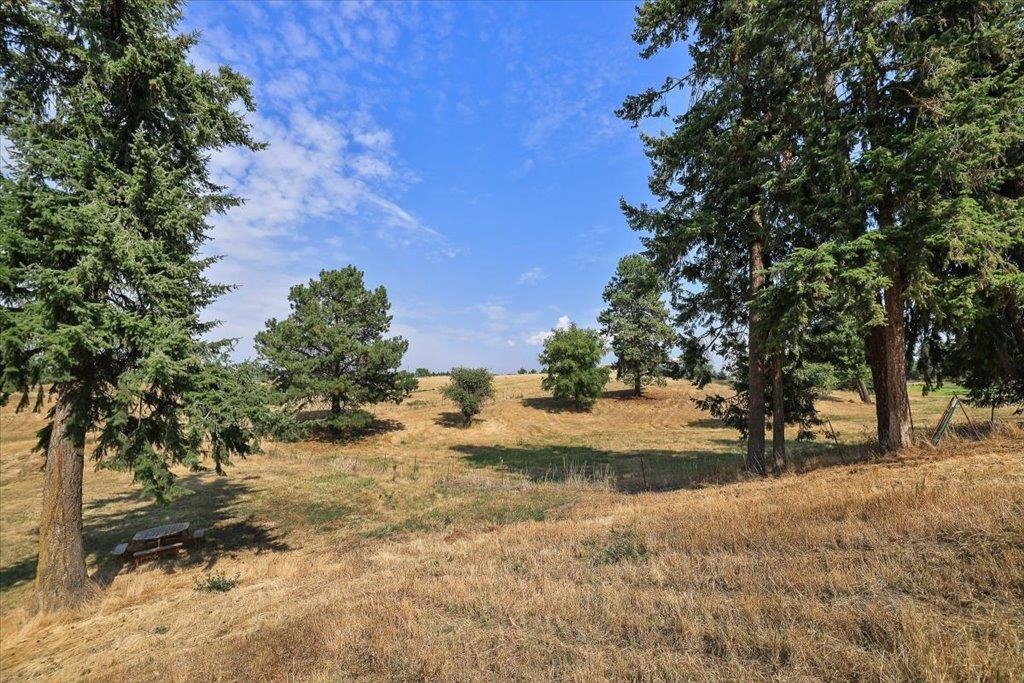 Nka North Day Mt Spokane Road Mead, WA 99021 - Photo 13 of 15