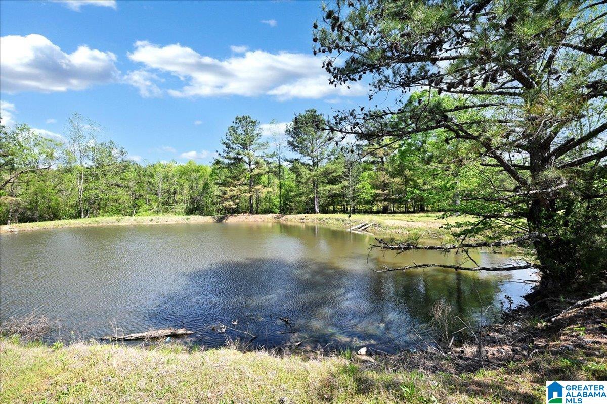 Jones Road Dora, AL 35062 - Photo 11 of 11 Gallery Image 11