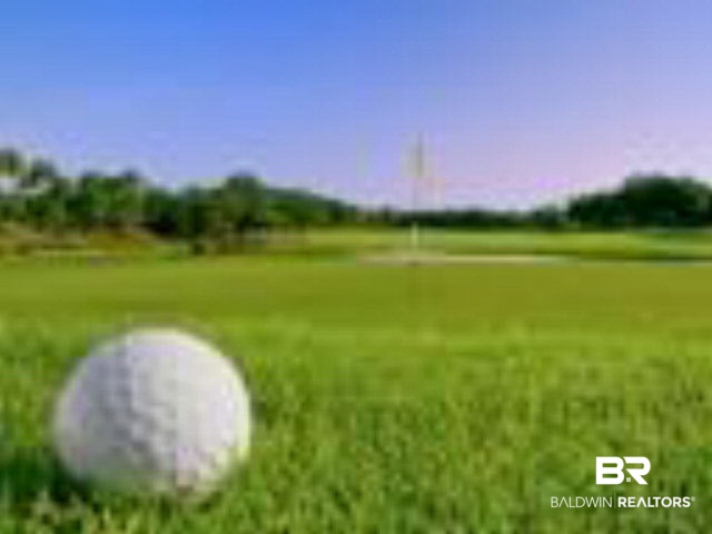 607 West Marigold Avenue Foley, AL 36535 - Photo 21 of 25 Lots of Golf Courses