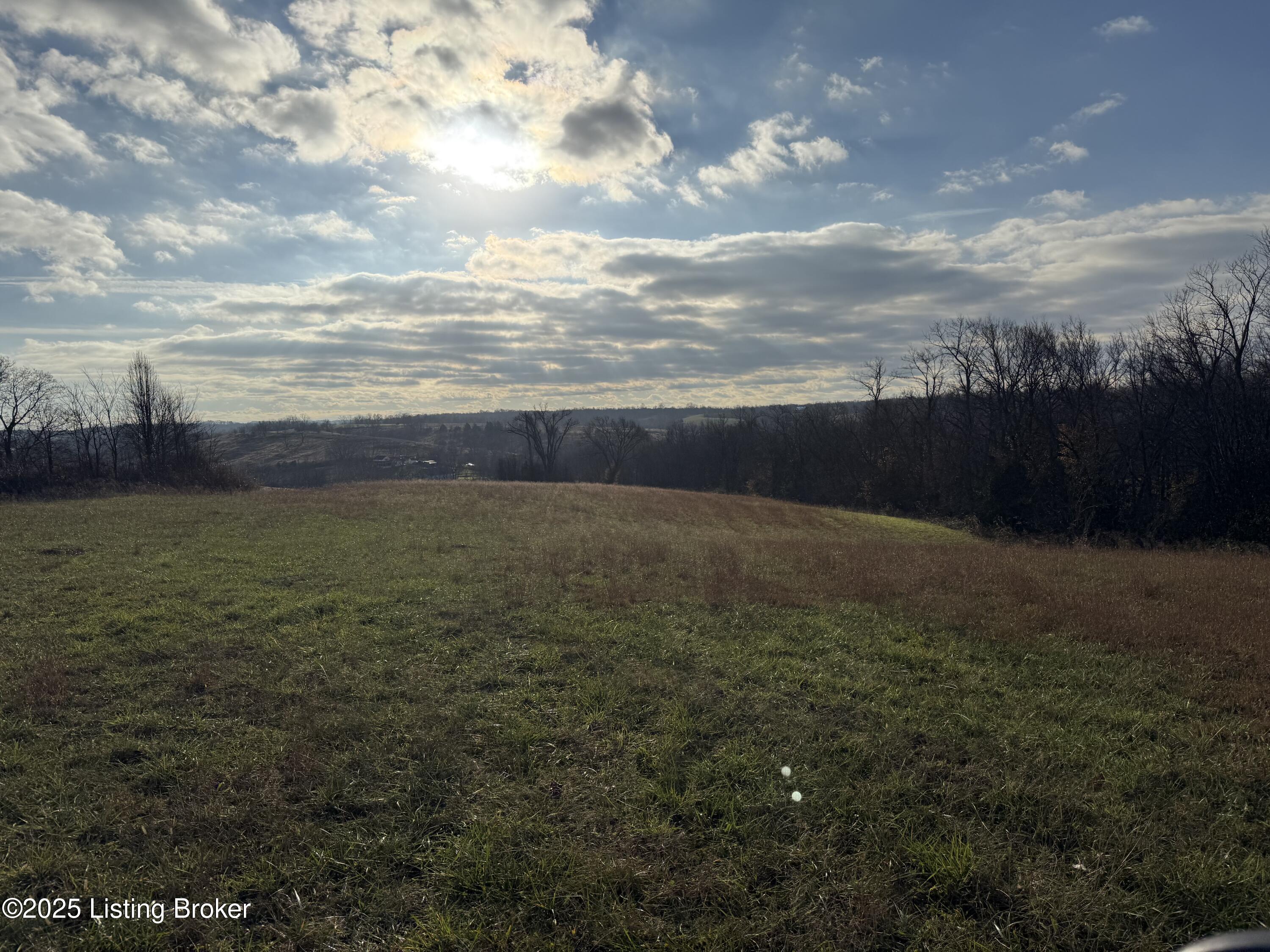 7755 Perryville Road Springfield, KY 40069 - Photo 7 of 9 IMG_7585
