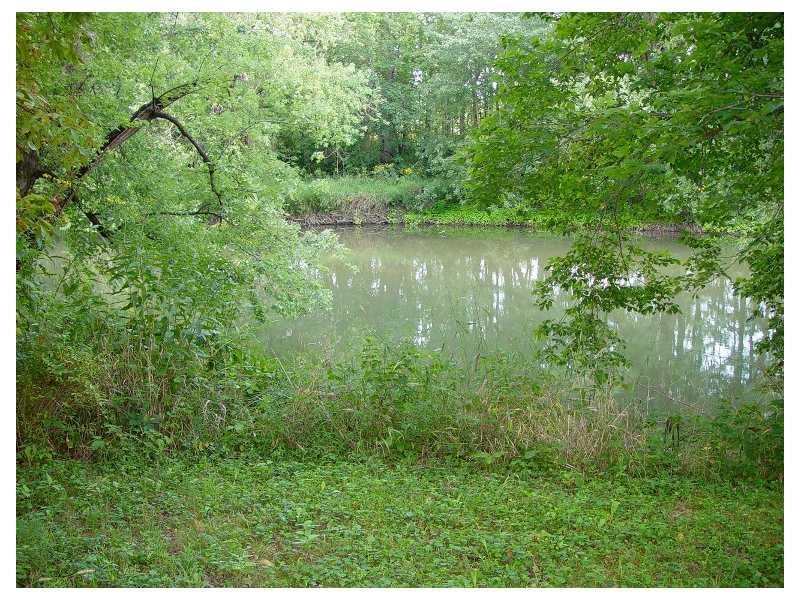 4315 Gun Barn Road Anderson, IN 46011 - Photo 17 of 19 Gallery Image 17