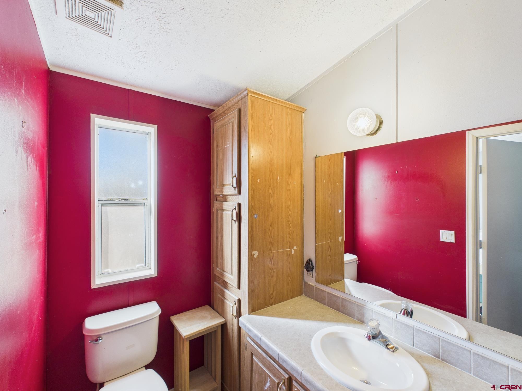 288 Animas View Drive, Unit 9 Durango, CO 81301 - Photo 12 of 20 a bathroom with a toilet a sink and mirror